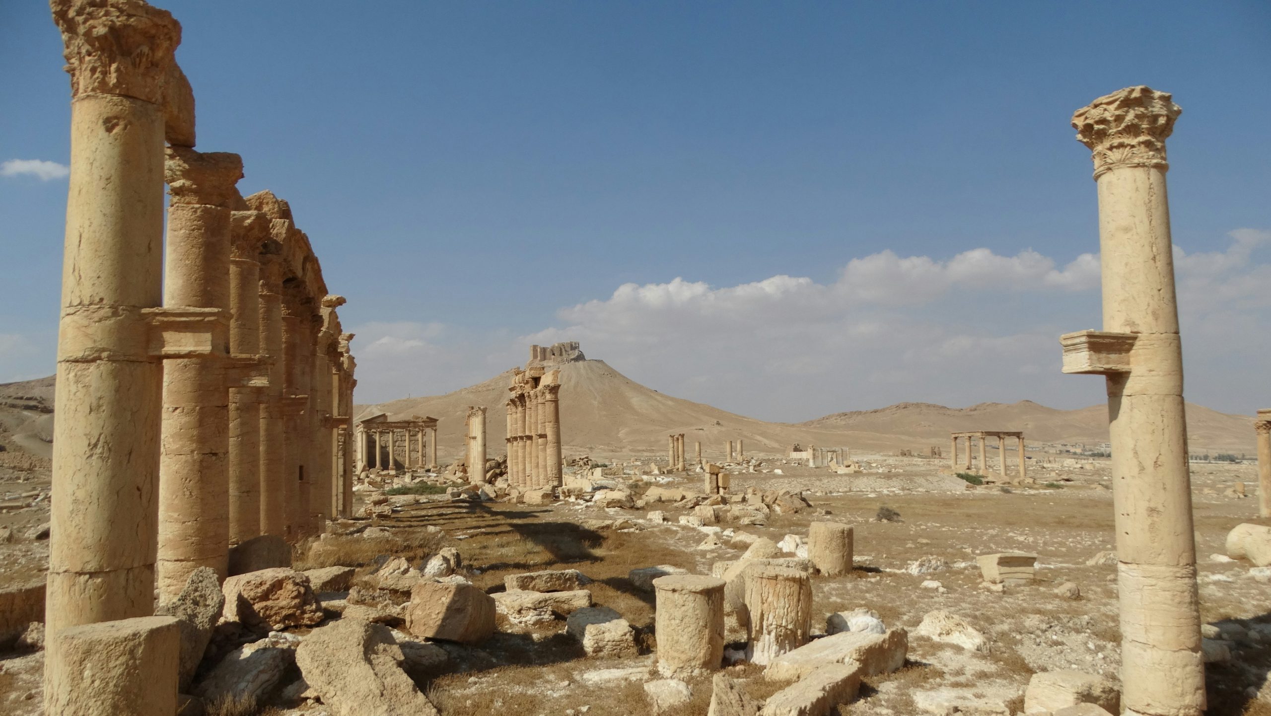 G20 action to combat the looting and smuggling of antiquities